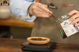 新手必喝咖啡豆排行榜｜亚非美洲咖啡风味特征是什么？性价比高的手冲咖啡用的浅中深烘焙咖啡豆推荐