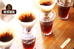 冷萃咖啡比例｜不同粉水比制作的冷萃味道有何差别？制作冷萃咖啡的粉水比多少适合？
