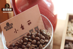 咖啡豆购买指南｜买咖啡豆好还是咖啡粉好？手冲咖啡法压壶意式咖啡机聪明杯适合哪类咖啡豆？