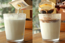 soe拿铁咖啡｜soe豆如何萃取浓缩咖啡？在家自制SOE拿铁咖啡牛奶比例是多少？热拿铁要选用哪种意式咖啡豆？