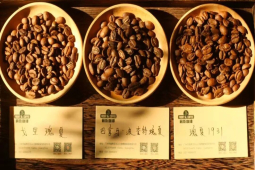 Gesha village咖啡等级｜埃塞俄比亚瑰夏村金标和红标咖啡风味口感有何区别？