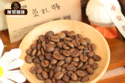 全球十大咖啡产国介绍｜哪个国家的咖啡好喝不苦？哪些精品手冲咖啡豆最受资深咖啡迷欢迎？