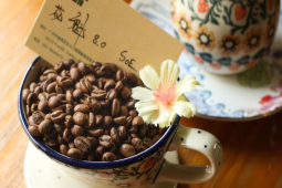 SOE咖啡豆｜soe全称是什么？soe豆是做意式浓缩还是做手冲咖啡？SOE豆与手冲单品豆有多大区别？ 