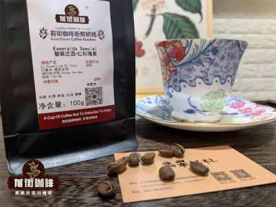 瑰夏Geisha起源故事｜瑰夏/艺伎咖啡为何价格这么贵？哪些高品质瑰夏手冲咖啡豆值得新手购买