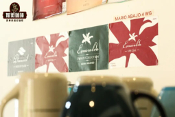 巴拿马翡翠庄园｜红标瑰夏和绿标瑰夏有哪些差异？翡翠庄园怎么给瑰夏咖啡划分等级？