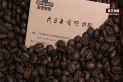 意式咖啡种类｜星巴克馥芮白是澳式白咖啡吗？？Flat White澳瑞白与短笛的区别是啥？