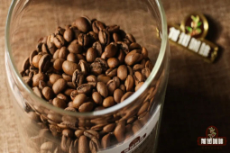 咖啡知识｜如何快速分辨咖啡豆烘焙程度？中浅烘咖啡与中深烘咖啡的咖啡研磨度冲煮水温参数介绍