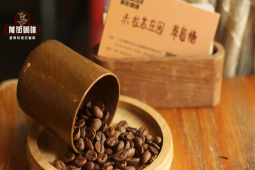 手冲咖啡冲煮用水｜能用冰水做手冲冰咖啡吗？气泡水苏打水可以制作手冲黑咖啡吗？