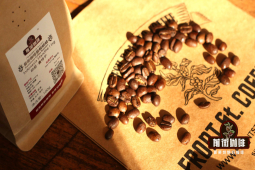 经典款咖啡豆｜新手入门常见的阿拉比卡咖啡豆是哪些？推荐适合研磨冲煮用的精品手磨咖啡豆