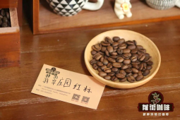 法压壶咖啡｜不同产区的瑰夏的咖啡风味有哪些区别？怎么使用法压壶冲煮出好喝的瑰夏咖啡？