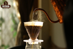 必買手沖精品咖啡豆推薦｜什麼類型咖啡豆適合做手衝黑咖啡？牙買加藍山巴拿馬瑰夏埃塞耶加雪菲做手衝好喝嗎？