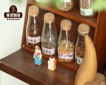 咖啡豆的种类：罗布斯塔咖啡豆 罗布斯塔拼配巴伦比亚巴西曼特宁阿拉比卡会好喝吗