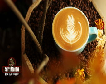 怎么用摩卡壶做拿铁？摩卡壶拿铁咖啡用什么牛奶？摩卡壶的粉水比例多少合适？教你如何提升摩卡壶咖啡液浓度