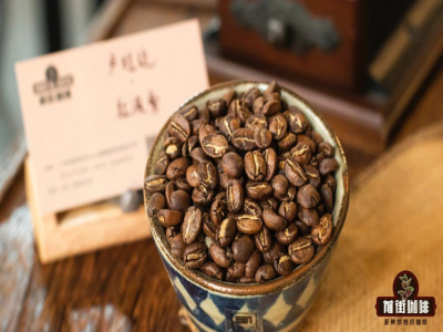 咖啡小白选豆指南｜挑选咖啡单品豆要注意什么？花果香浓郁的精品浅烘焙手冲咖啡豆有哪些推荐