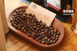 家庭冷萃咖啡做法介绍｜制作冷萃咖啡有哪些讲究？适合冷萃咖啡的高性价比手冲咖啡豆推荐