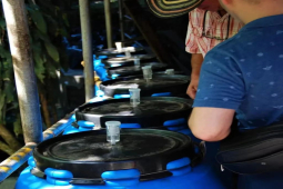 咖啡酵素水洗｜什么是酵素水洗咖啡处理法？酵素水洗处理法过程如何？哥伦比亚玫瑰谷咖啡口感味道特点介绍