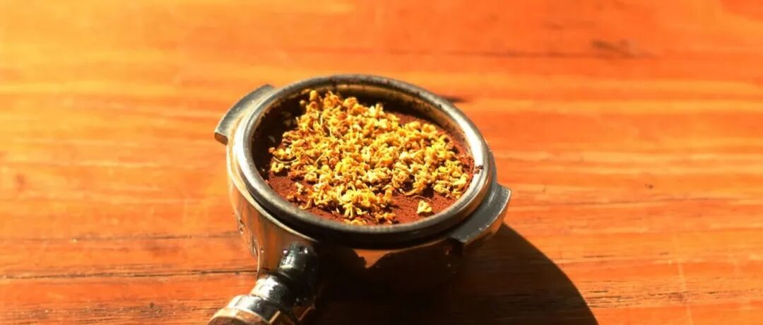 教你用桂花做出6款不同的咖啡！！！
