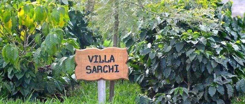 美洲罕见咖啡品种介绍：维拉萨奇Villa Sarchi、Venecia、Tekisic、Bernardina