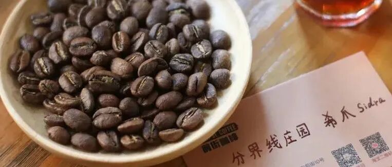 希爪咖啡怎么冲？双重厌氧咖啡豆的冲煮分享！