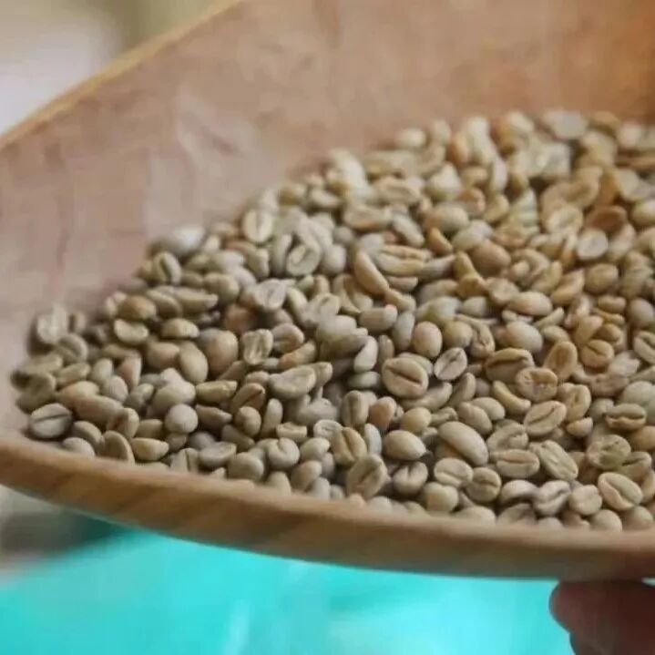咖啡的新豆？旧豆？老豆？都是啥？