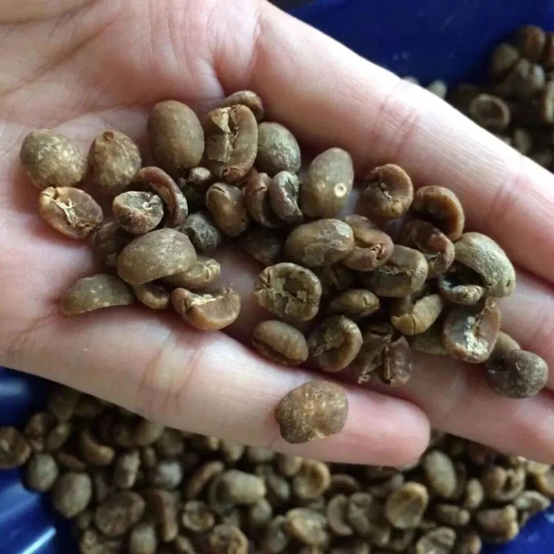 陈年处理如何操作？陈年豆又是什么味道？