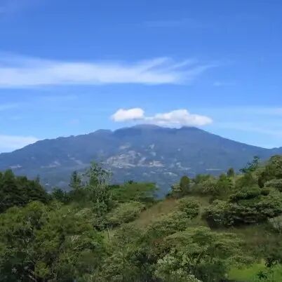 巴拿马｜咖啡产区波奎特瑰夏咖啡豆介绍