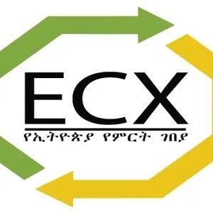 咖啡交易平台｜埃塞俄比亚商品交易所ECX介绍