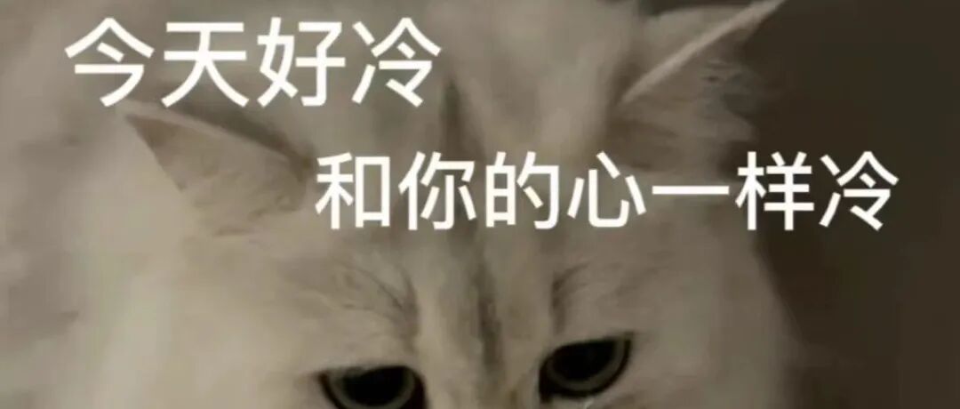 咖啡冷知识分享 「1.0」