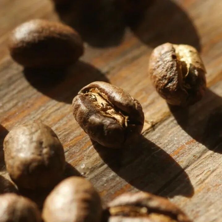 真嘟假嘟！咖啡圆豆会比平豆风味更优秀？