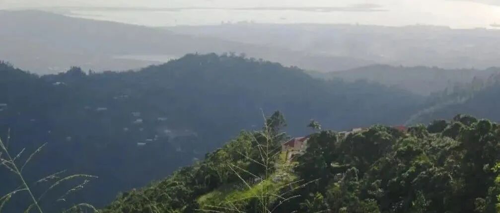 什么是真正的蓝山咖啡？蓝山有什么知名庄园吗？