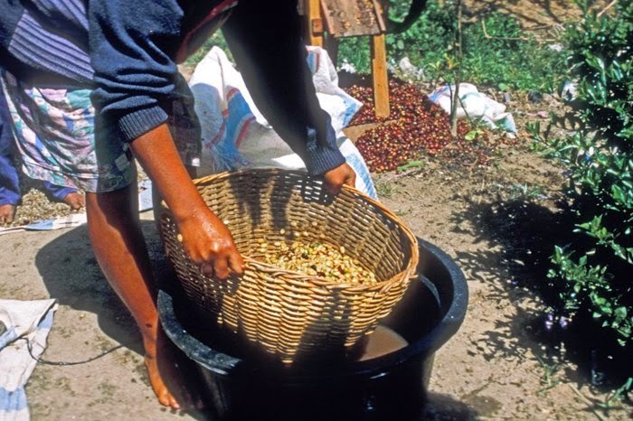 1662109918070bdf.jpg 1662109918070bdf.jpg