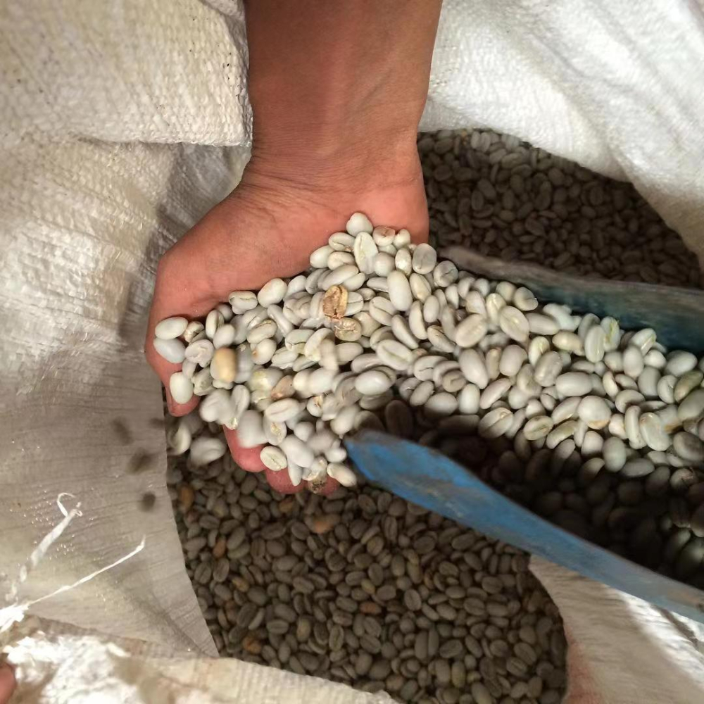 1747461450953170.jpeg 1747461450953170.jpeg