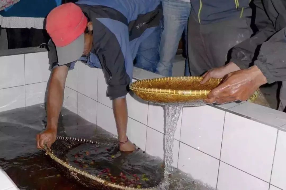 a4a2a441f42c2c9.jpg a4a2a441f42c2c9.jpg