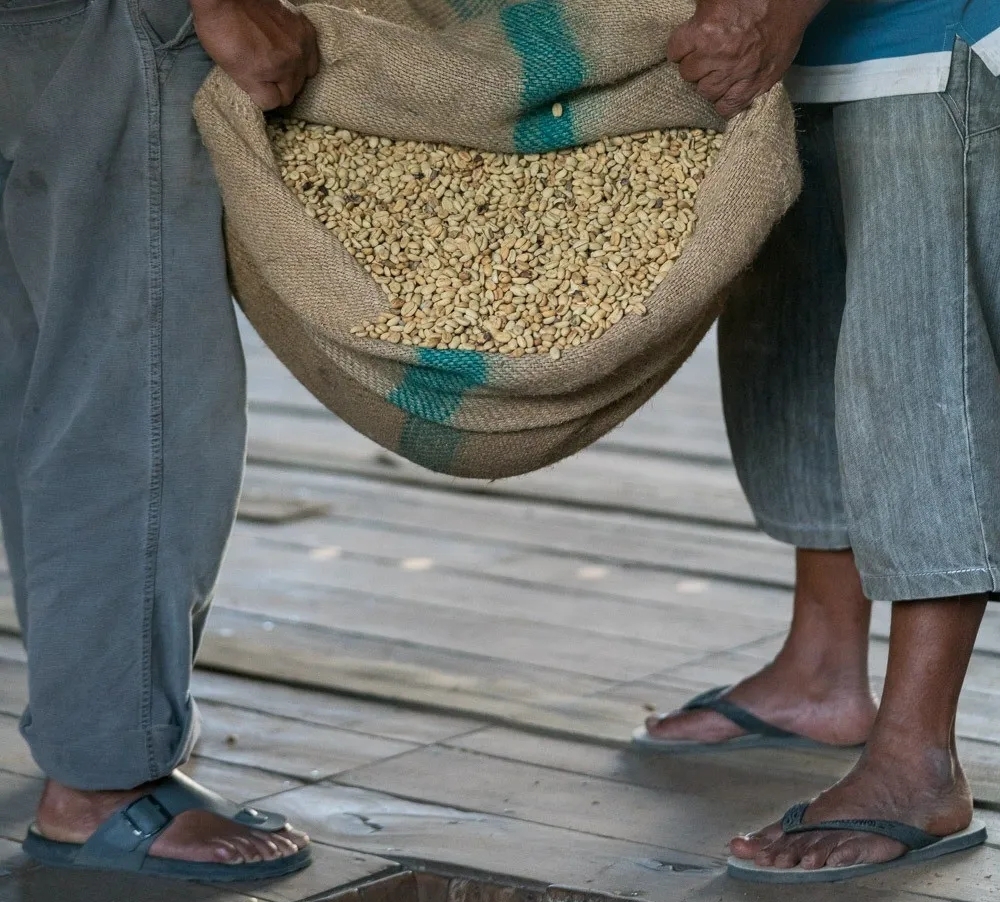 印尼咖啡品牌｜苏门答腊咖啡特色是啥？曼特宁挂耳咖啡怎么冲？挂耳咖啡包为何不能多次浸泡？