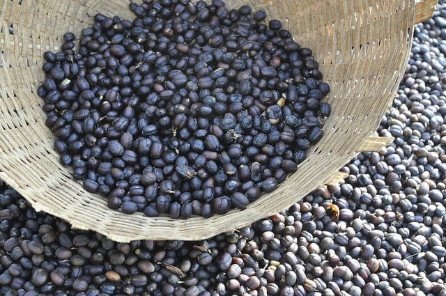 日晒耶加雪菲｜耶加雪菲咖啡豆日晒处理法有哪些优缺点？埃塞日晒咖啡风味特点是什么？