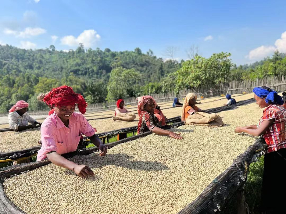 1765074340eecbcb.jpg 1765074340eecbcb.jpg