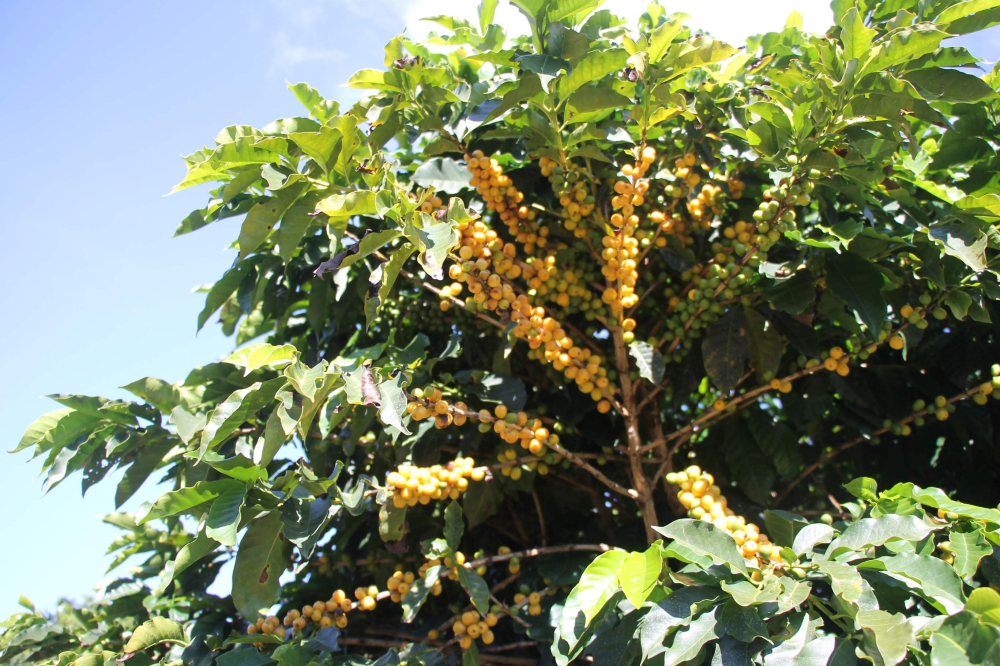 1641189679a9a689.jpg 1641189679a9a689.jpg