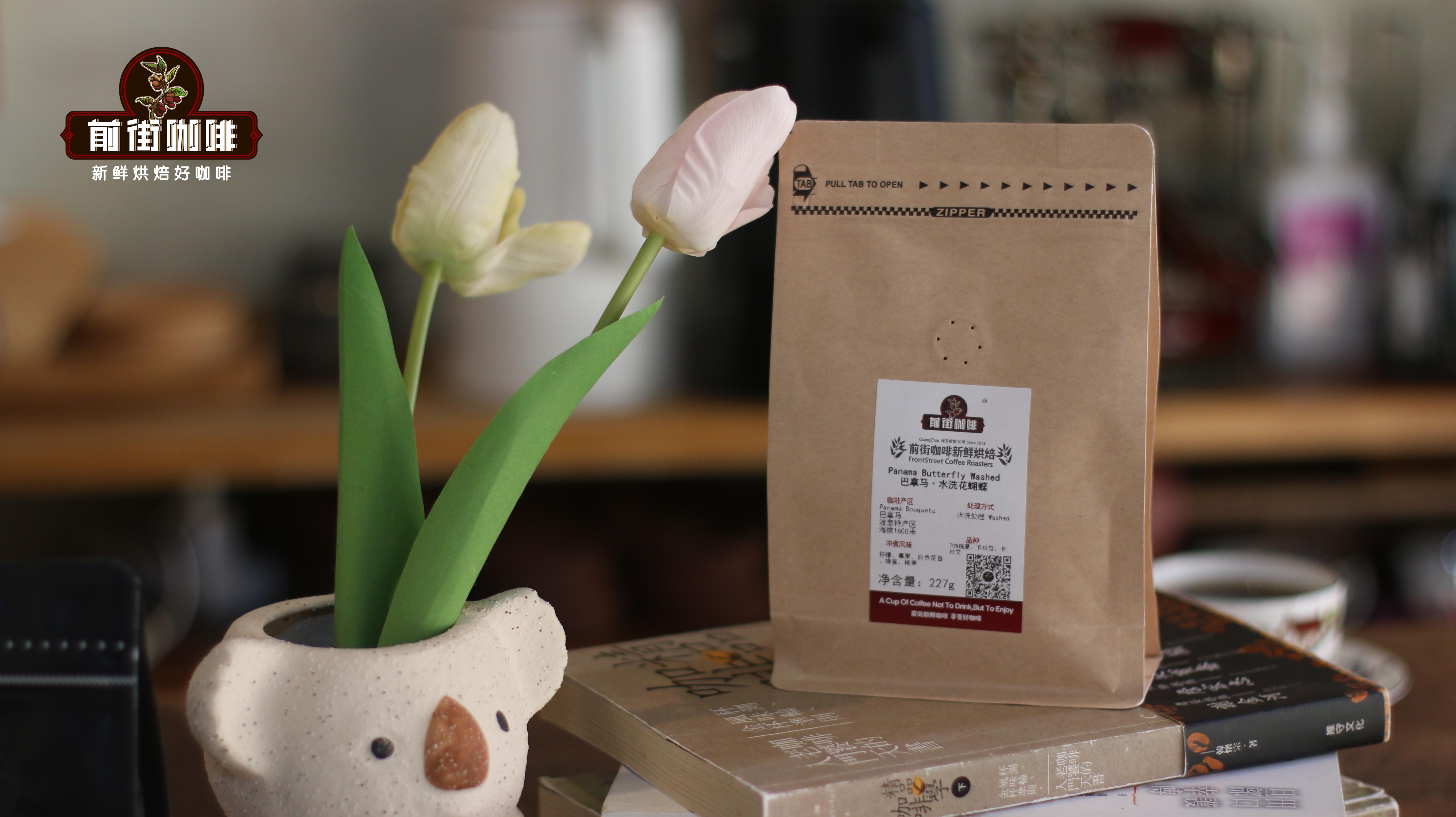 1733021774f55e82.jpg 1733021774f55e82.jpg