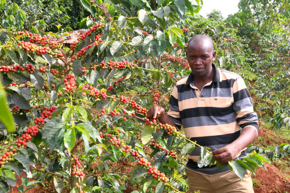 1760067992c6bf92.jpg 1760067992c6bf92.jpg