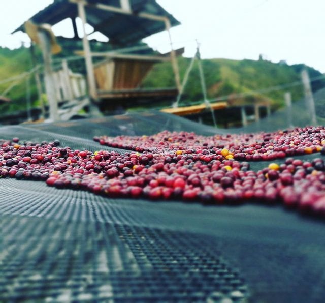 17600672316580bc.jpg 17600672316580bc.jpg