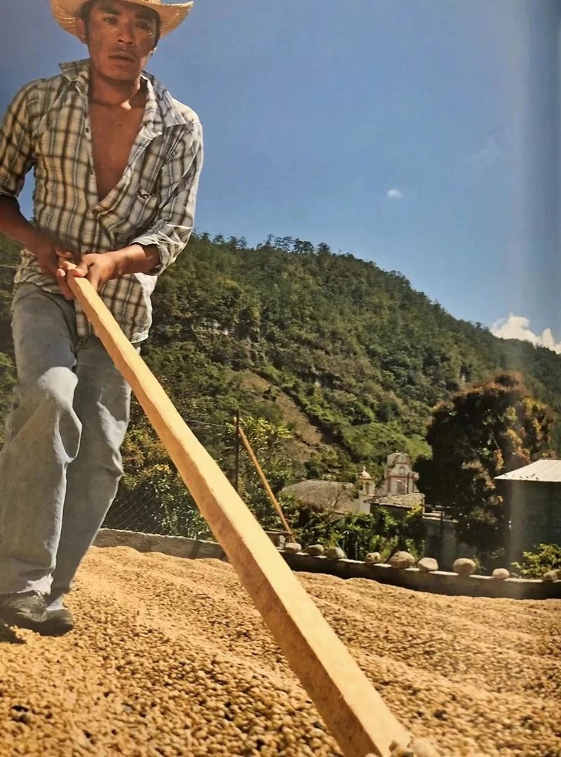 按饮用场景挑几款低酸手冲咖啡豆