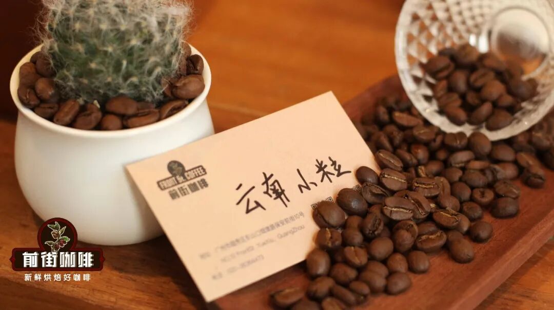 商用豆，家用豆和比赛用豆有什么区别？