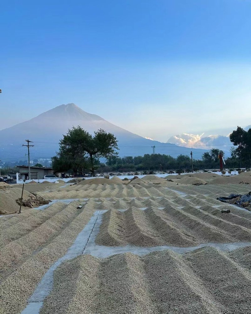从高原花香到岛屿醇甜：美式咖啡的风土坐标