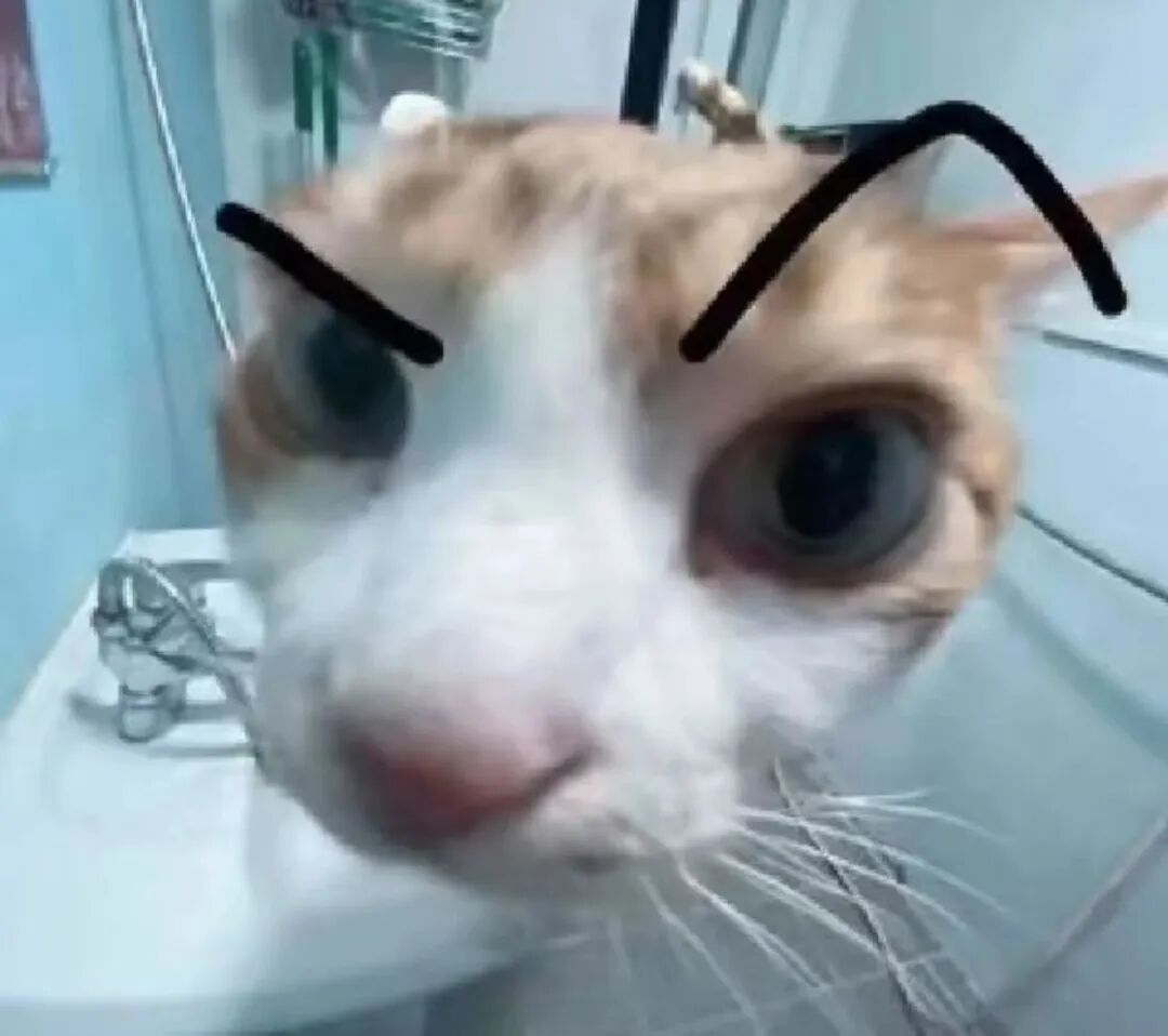 揭秘！咖啡师都在用的融合秘诀！！！