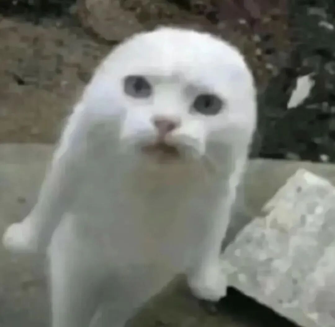 为什么最近长萃咖啡这么受欢迎？