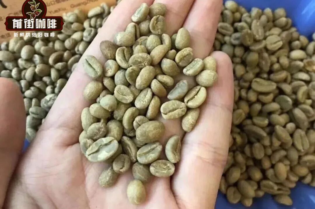 埃塞俄比亚有哪些精品咖啡产区代表？