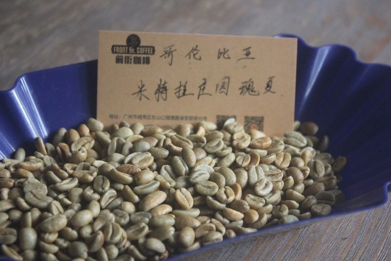 怕苦就看植物血统！从铁皮卡到瑰夏，原来甜感藏在树种里