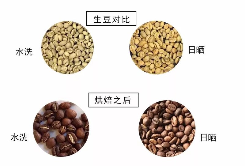 摩卡壶也能煮出果汁感？从柑橘到莓果挑出甜感充沛的酸豆