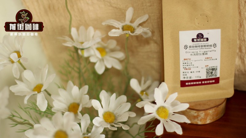 冰咖啡就要喝果酸！柑橘莓果还是小番茄？教你挑出清亮生津好豆子