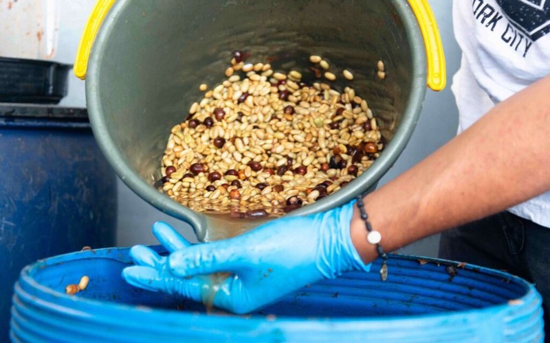 想喝到奶香浓郁咖啡味正的澳白？从烘焙度挑对豆子一秒击中味蕾